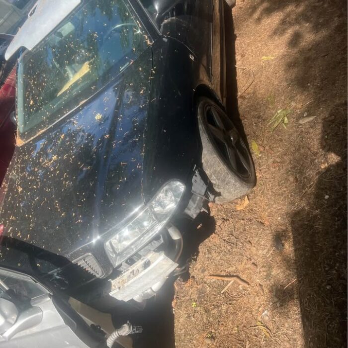 503293668_4121668301453807_352396516453241734_n