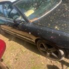 503352016_4121668324787138_5853128967887829672_n