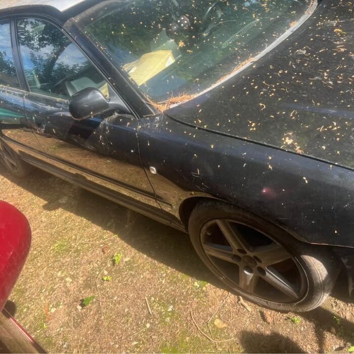 503352016_4121668324787138_5853128967887829672_n