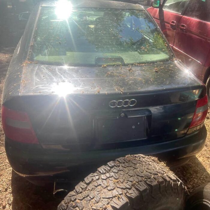 503589289_4121669798120324_4721934001984120235_n